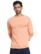 Anixa Men's Plain Full Sleeve Sweatshirt peach -1