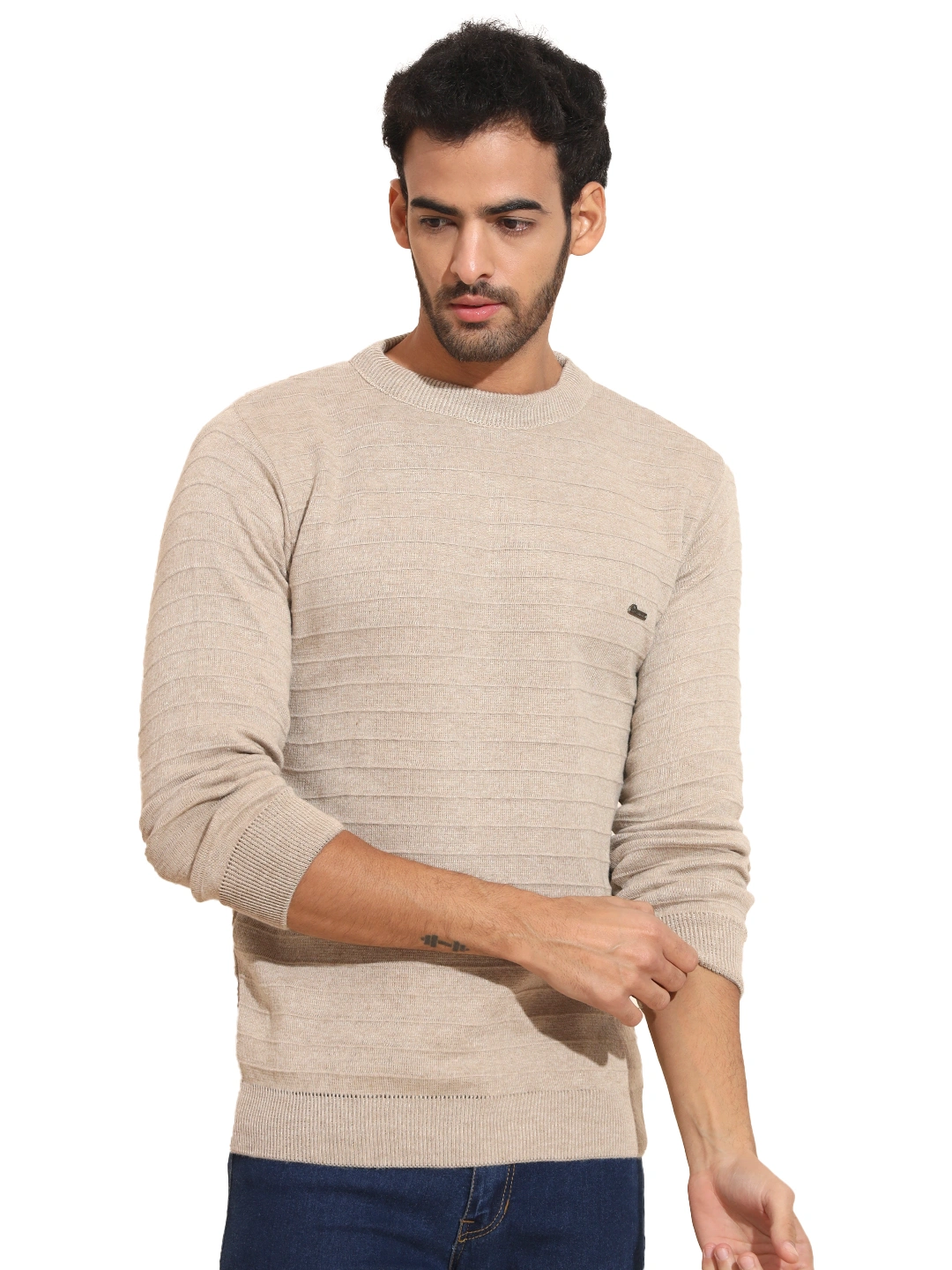 Anixa Men's Plain Full Sleeve Sweatshirt skin -1