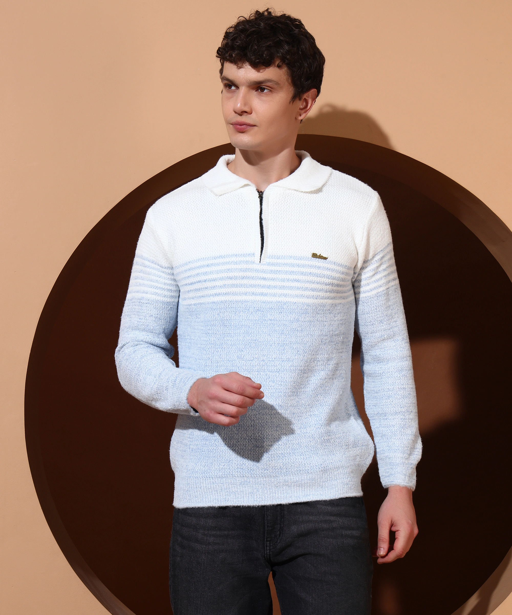 Anixa Men's Textured Half Zip Collared Sweater sky -8